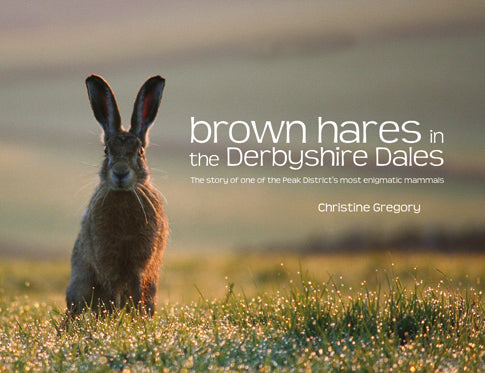 Brown Hares in the Derbyshire Dales - The story of one of the Peak District's most enigmatic mammals
